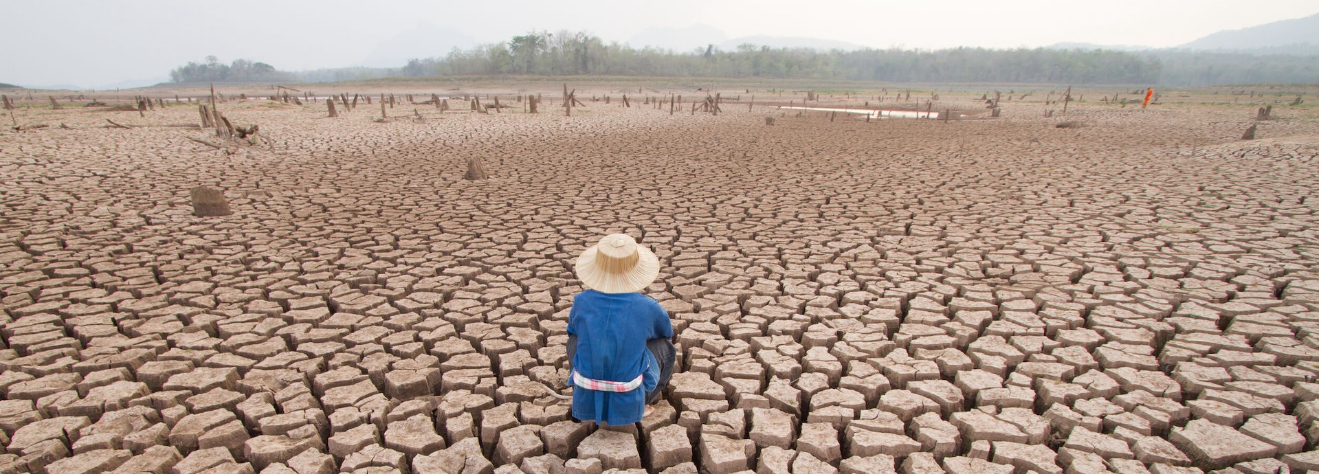 Climate change, dryland, desert