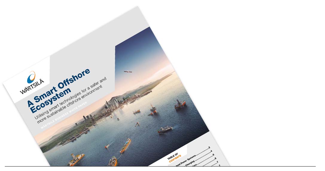 A Smart Offshore Ecosystem