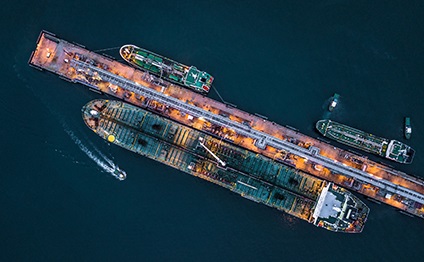 Container ships in the port