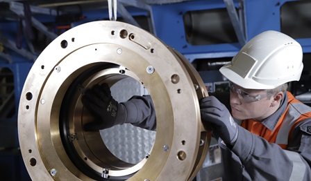 Wärtsilä Dualguard - workshop 