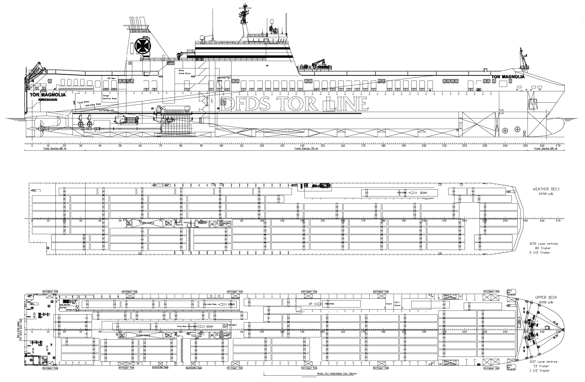 Ro-ro freighter TOR MAGNOLIA