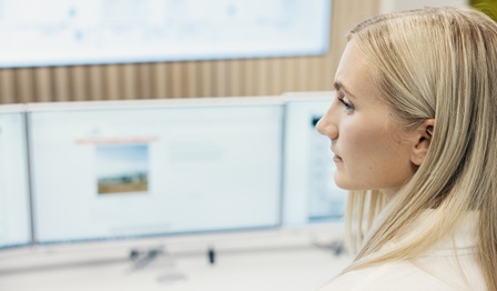 power system modelling