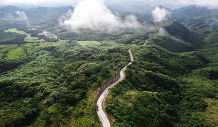 A narrow road runs through green rainforest