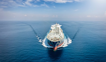 AdobeStock_528483493