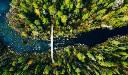 Powerpoint Optimised Image-AdobeStock_321432035