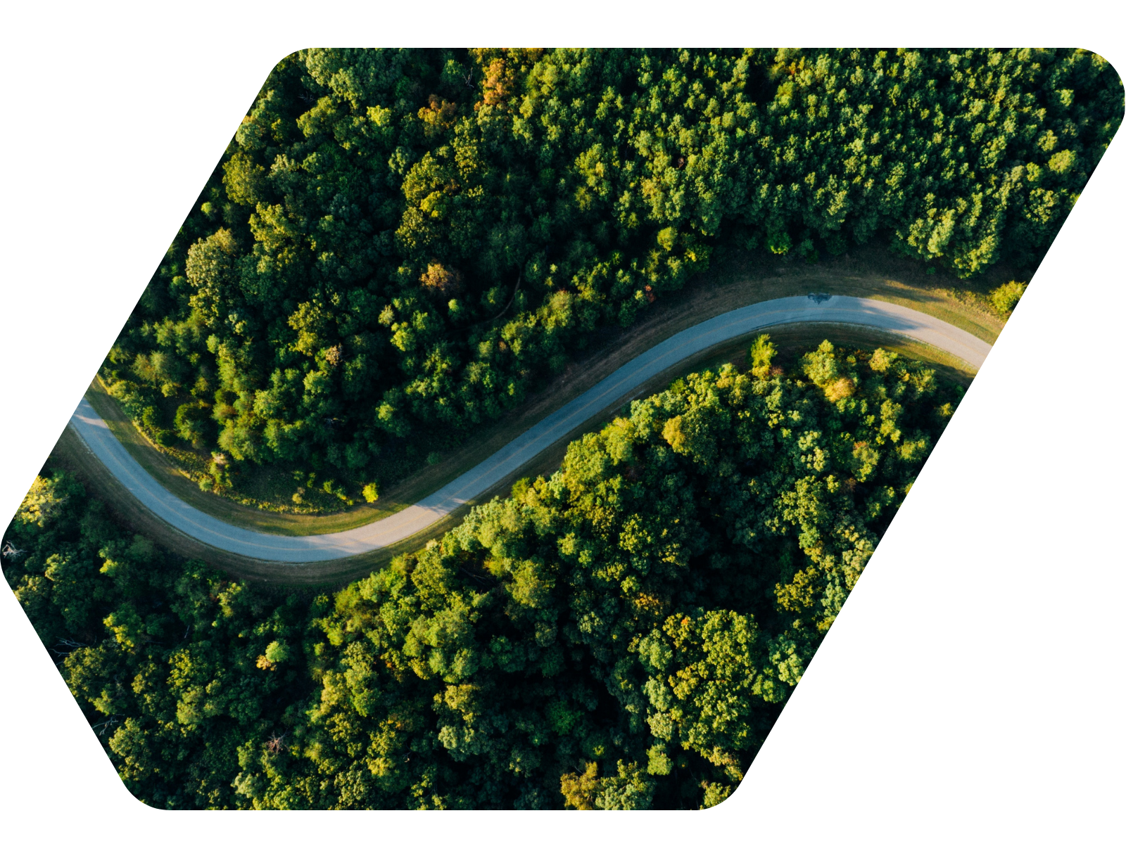 India-energy-transition