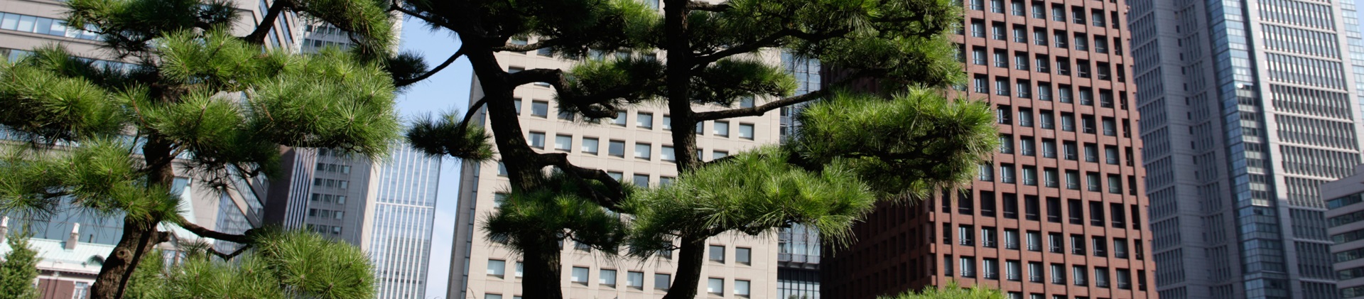 Welcome to Wärtsilä in Japan