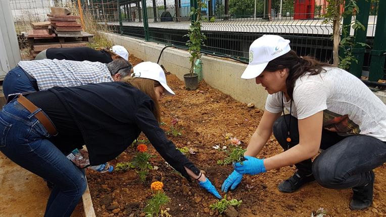 environment day_2017 3