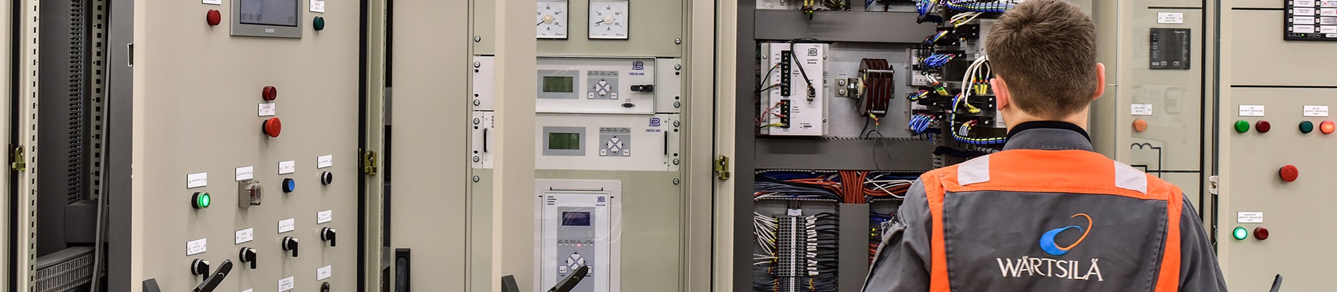 Wärtsilä Basler system