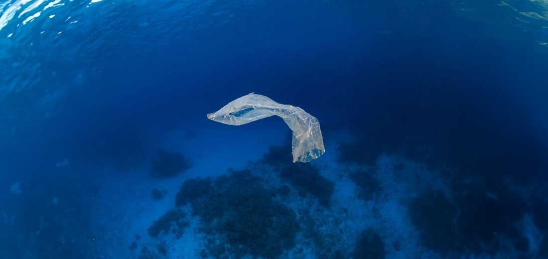 Carnival partner in sustainability pilot project