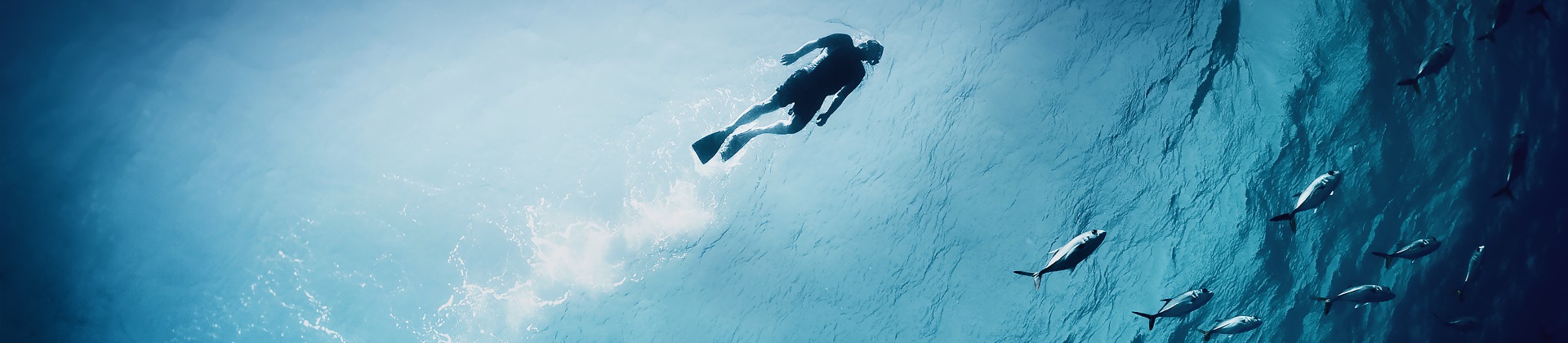 Ballast-water-banner, ballast water management systems, bwms, ballast water treatment system, bwts