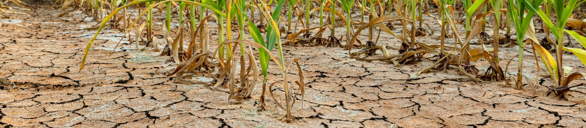 When sourcing water at great depths. HiTE has no trouble handling salty, sandy and/or oily feedwater