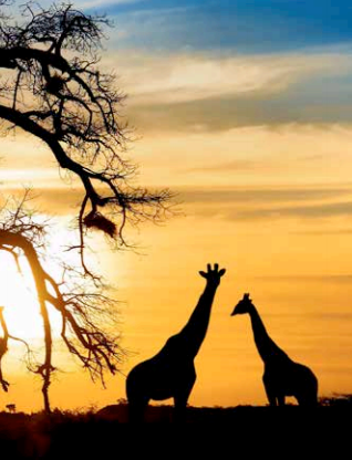 Sasolburg_South_Africa