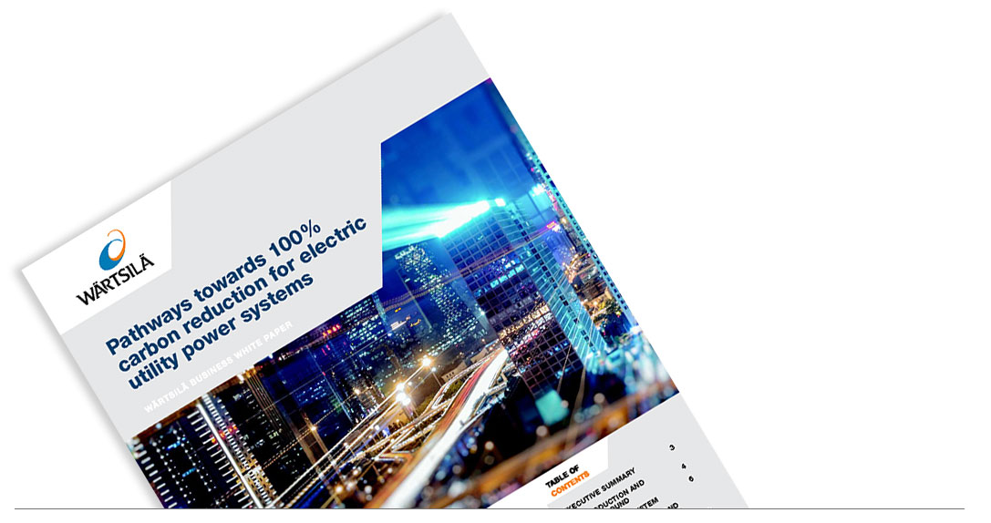 Pathways towards 100% carbon reduction for electric utility power systems