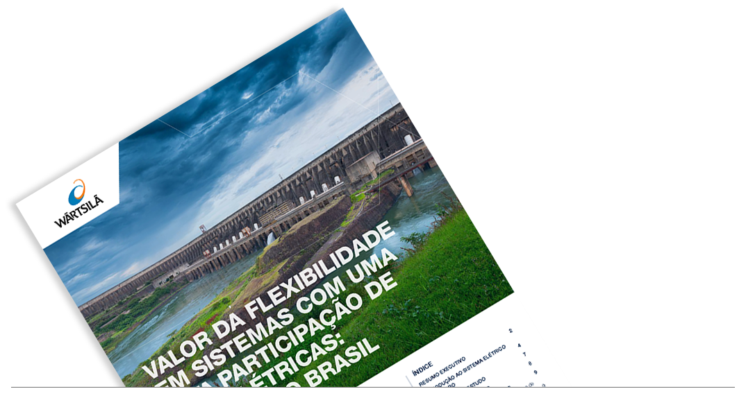 Valor da flexibilidade em sistemas com uma alta participação de hidrelétricas: O Caso do Brasil