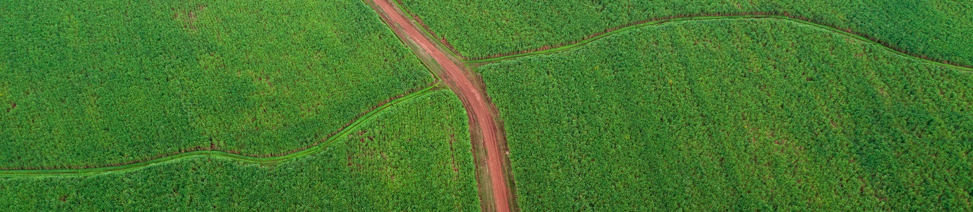 Energy transition pathways towards a low-cost 100% renewable power system across India by 2050