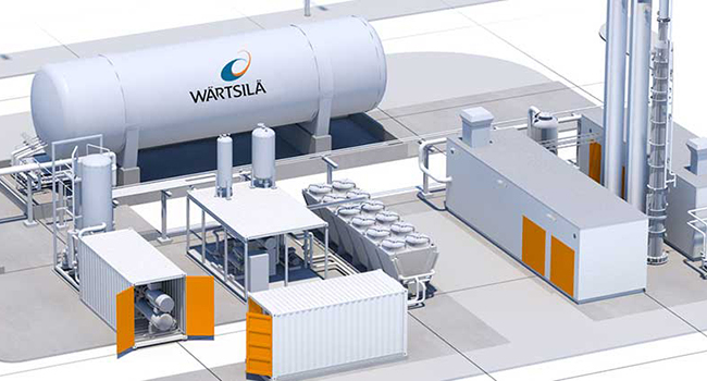 Tervete Latvia reference