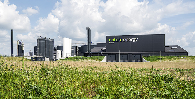 Kvaers and Kong reference