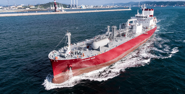 Technical remote support