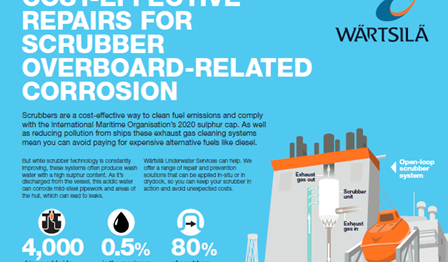 Scrubber Infographic 