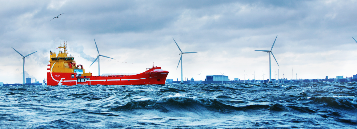 Viking-Lady-reference-slide