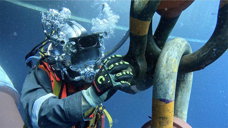 Underwater Inspection in Lieu of Drydocking