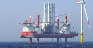 Brave Tern and Bold Tern-thumb