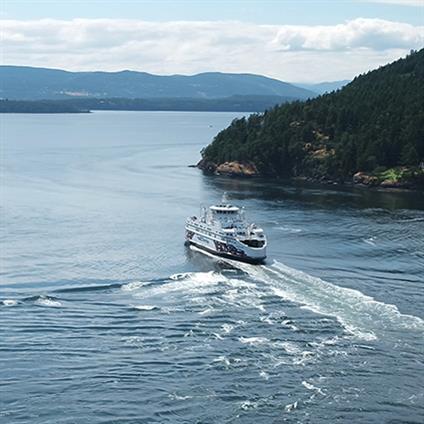 Wärtsilä Marine Methanol Conversion