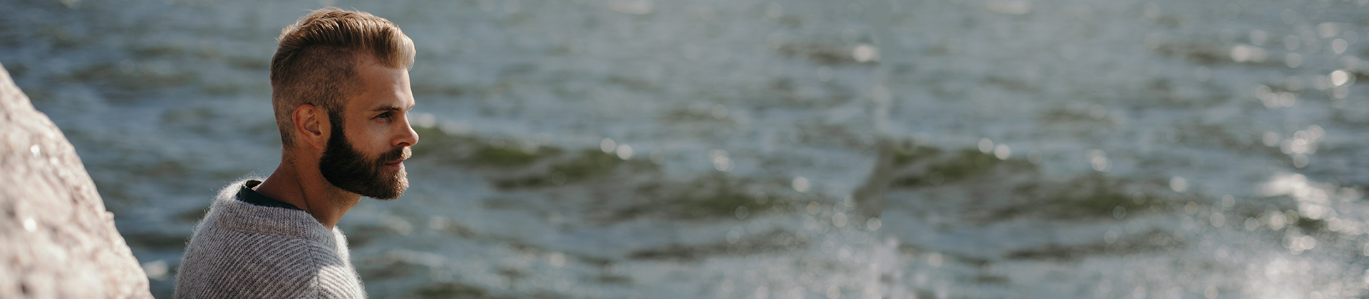 Wärtsilä solutions 190x420